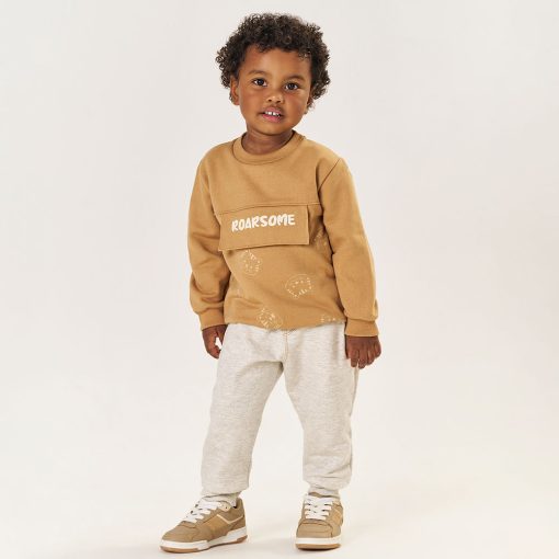 Conjunto Moletom Roarsome Marrom Tileesul - Masculino